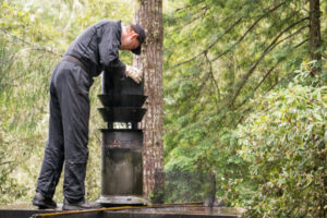 How to Keep Insects Out of Your Chimney champion chimneys