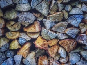 The Different Types of Firewood for Your Fireplace champion chimneys